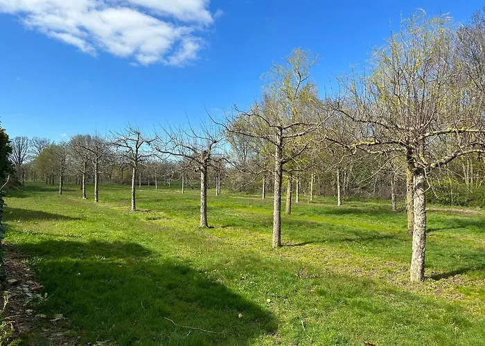 Stijlvol Huisje In De Brabantse Natuur! Tuynloodz B