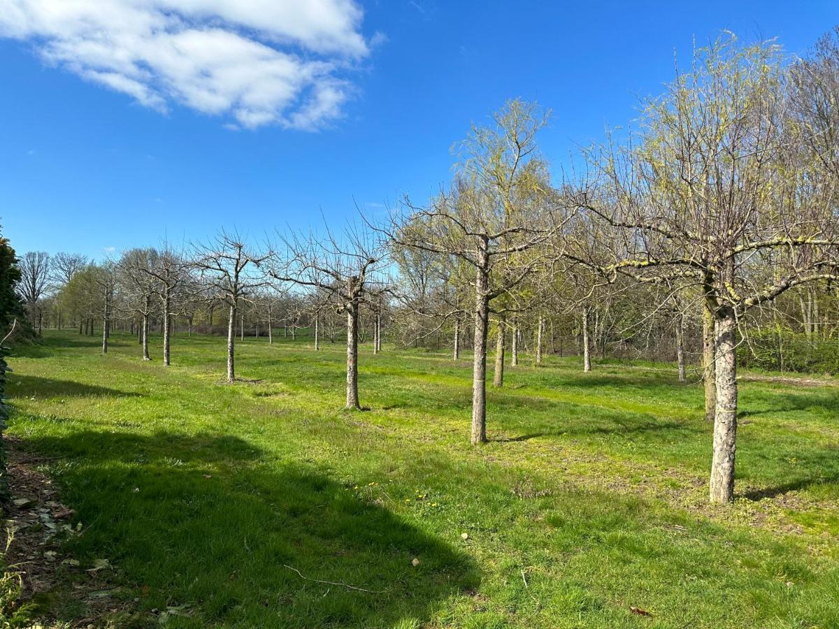 Stijlvol In De Brabantse Natuur! Tuynloodz B Holiday home Beers (North Brabant)